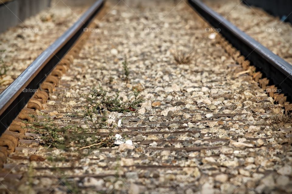Train Tracks