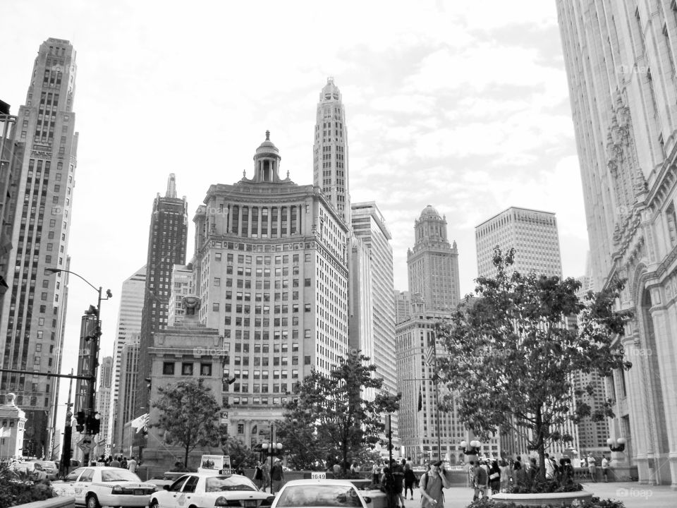 Flat iron building in Chicago. Photo taken in Chicago.