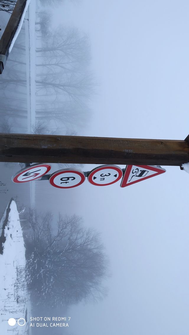 prometni znakovi na drvenom mostu