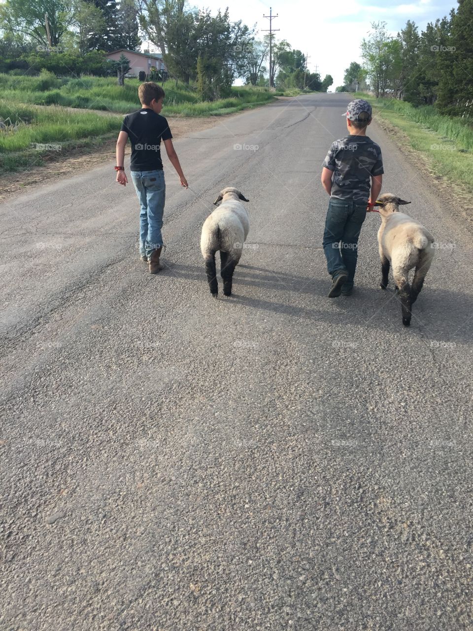 Farm boys with their pets.