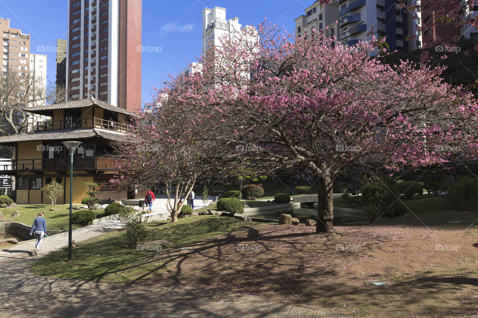 Japanese square in Curitiba Parana Brazil