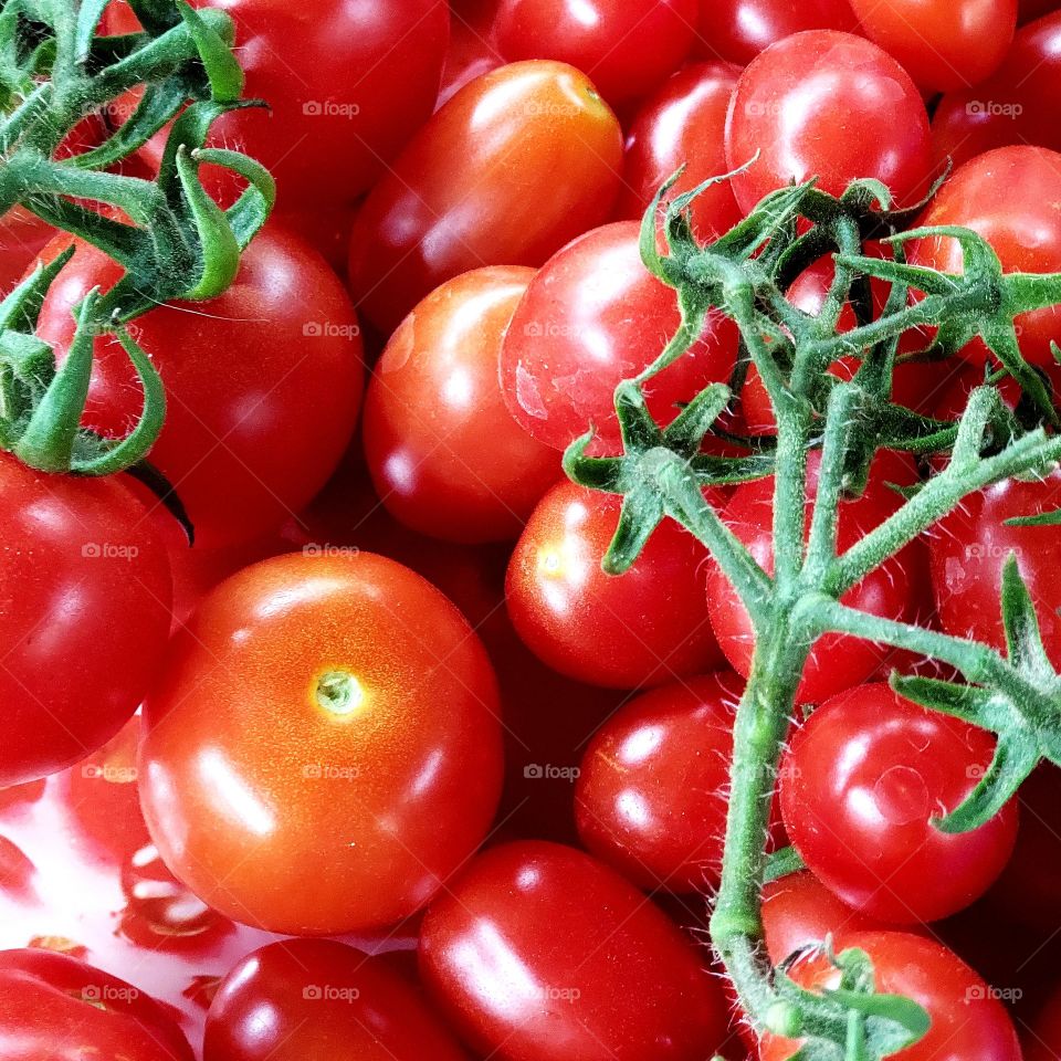 Non-GMO tomatoes