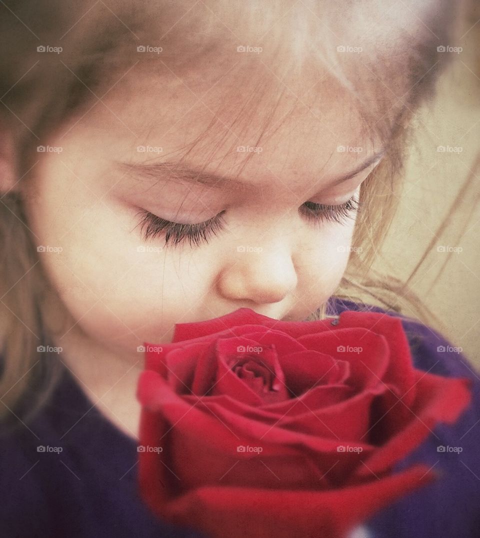Girl examines rose 