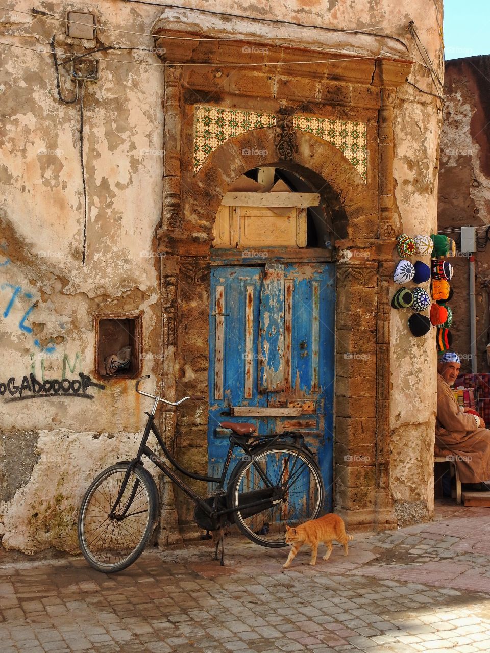 Looking for a hat or a cat