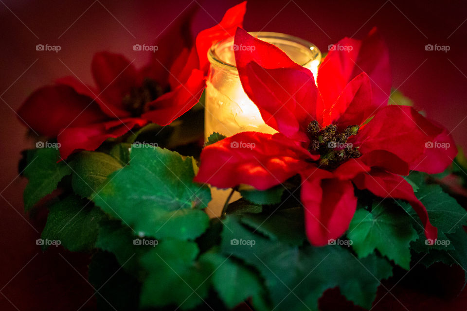 A small holiday bouquet of red Christmas flowers backlit by warm light from a candle