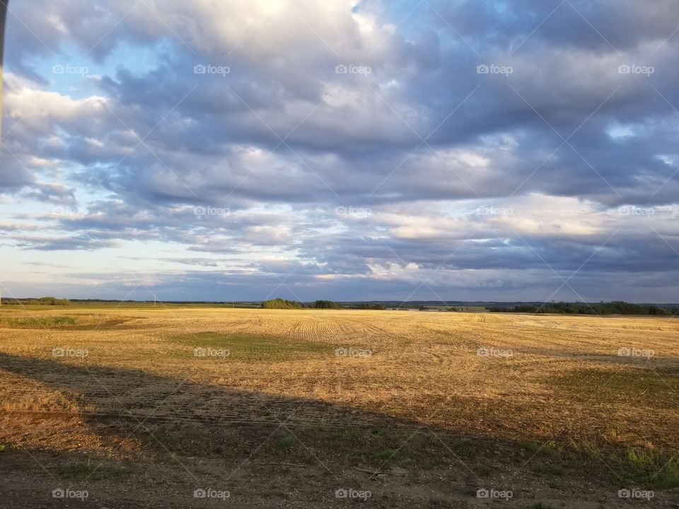 farmers field, fall. blue sky it golden field endless view. clouds blanketing the sky