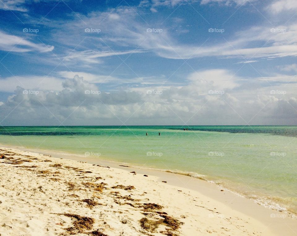 Crystal clear water makes this beach in Florida perfect for swimming and snorkeling! 