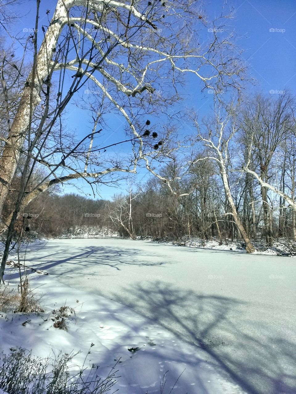 Auglaize River