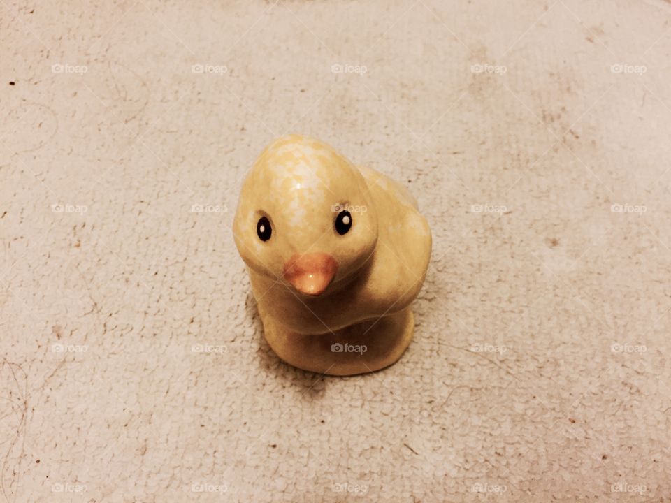 My duck 