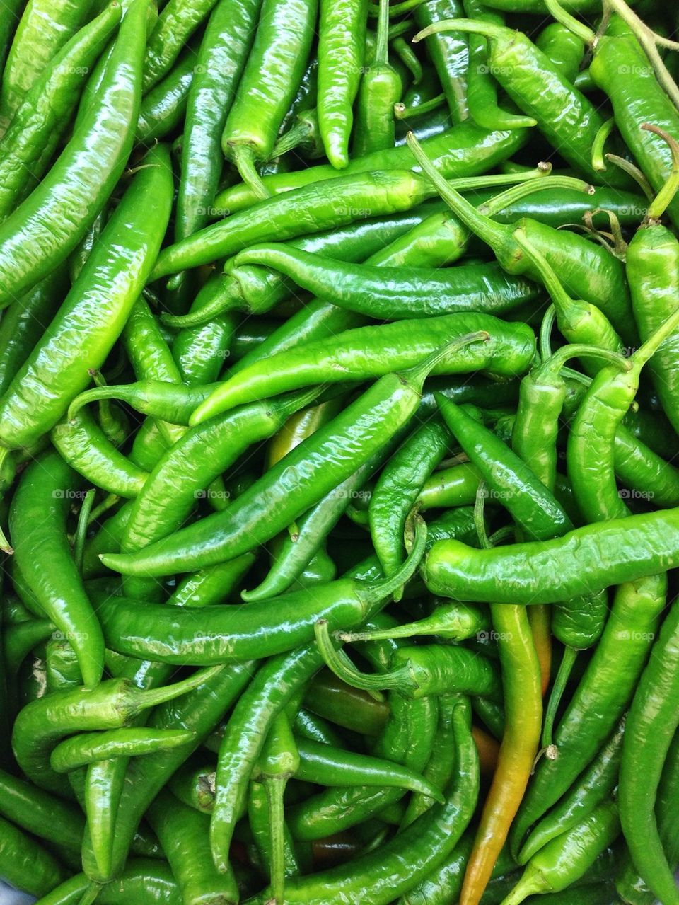 Close-p of green chillies