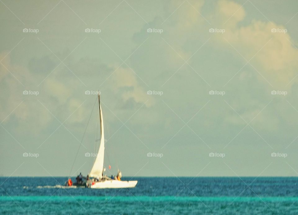 Catamaran On The Water