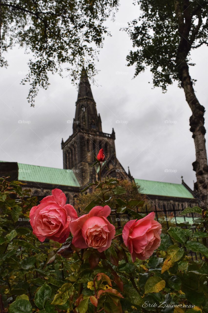 A view of the Glasgow Cathedral, from the path to the Necropolis.. 