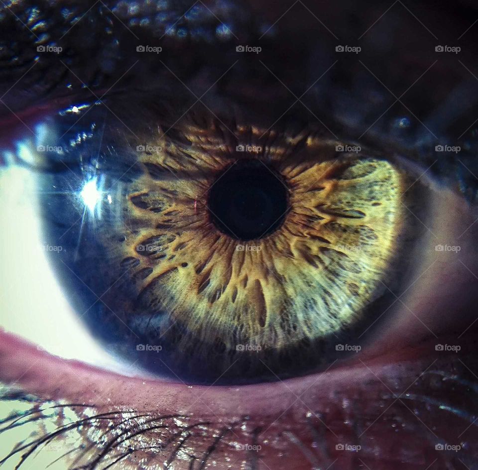 Eye macro