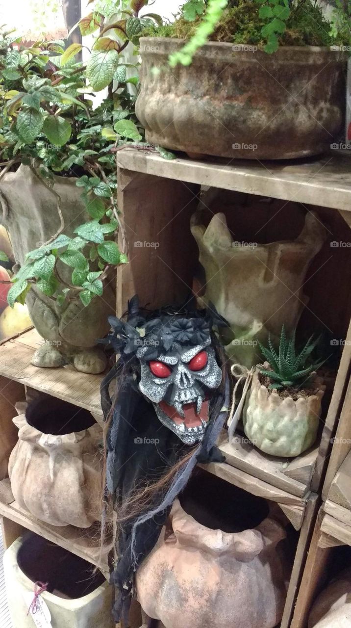 Scary Red Eyes Head in the Plants