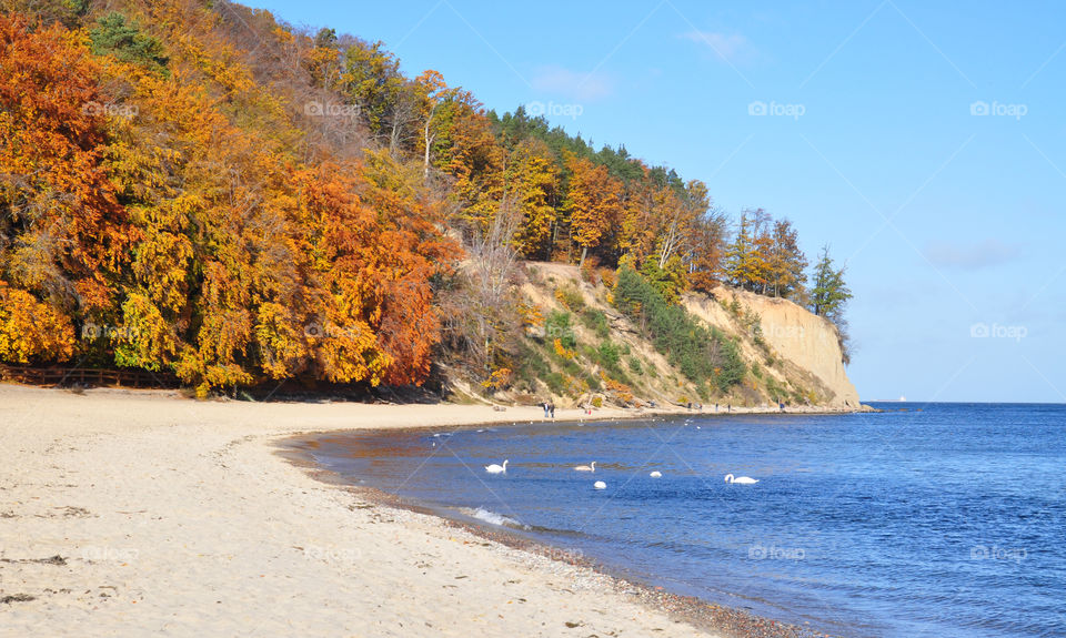 Autumn beach on the Baltic sea