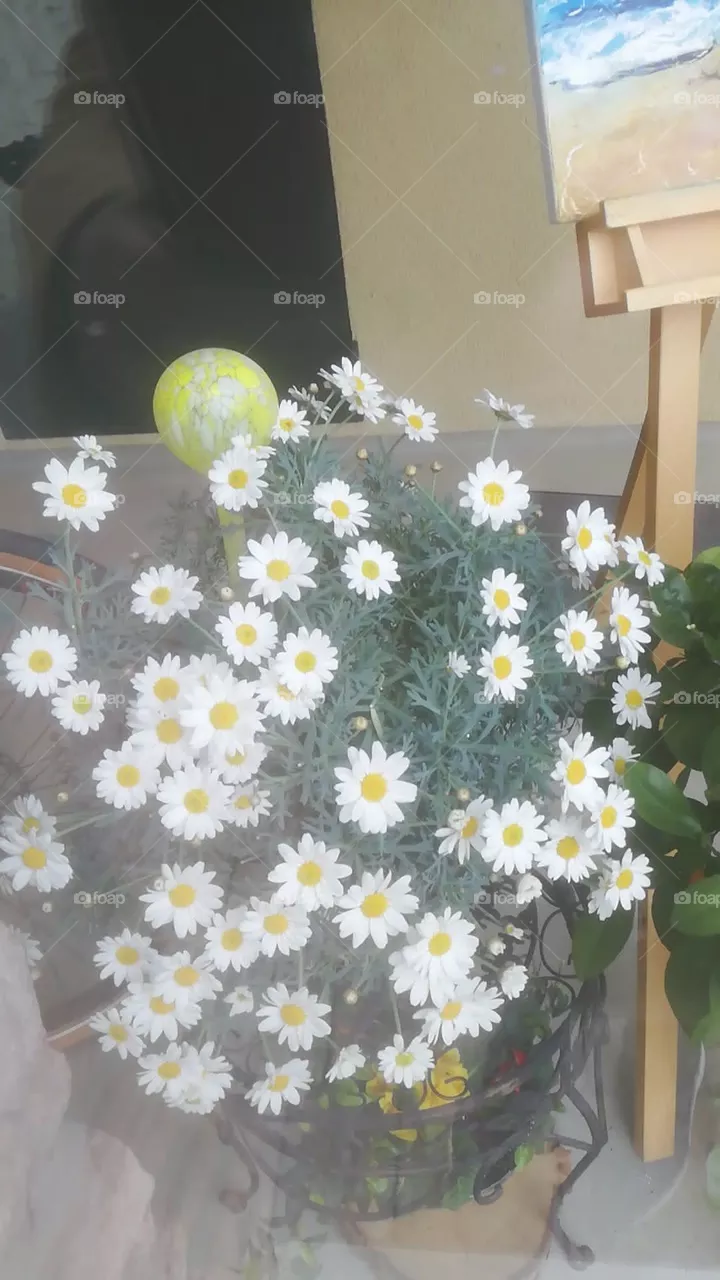 Strauß Blumen 