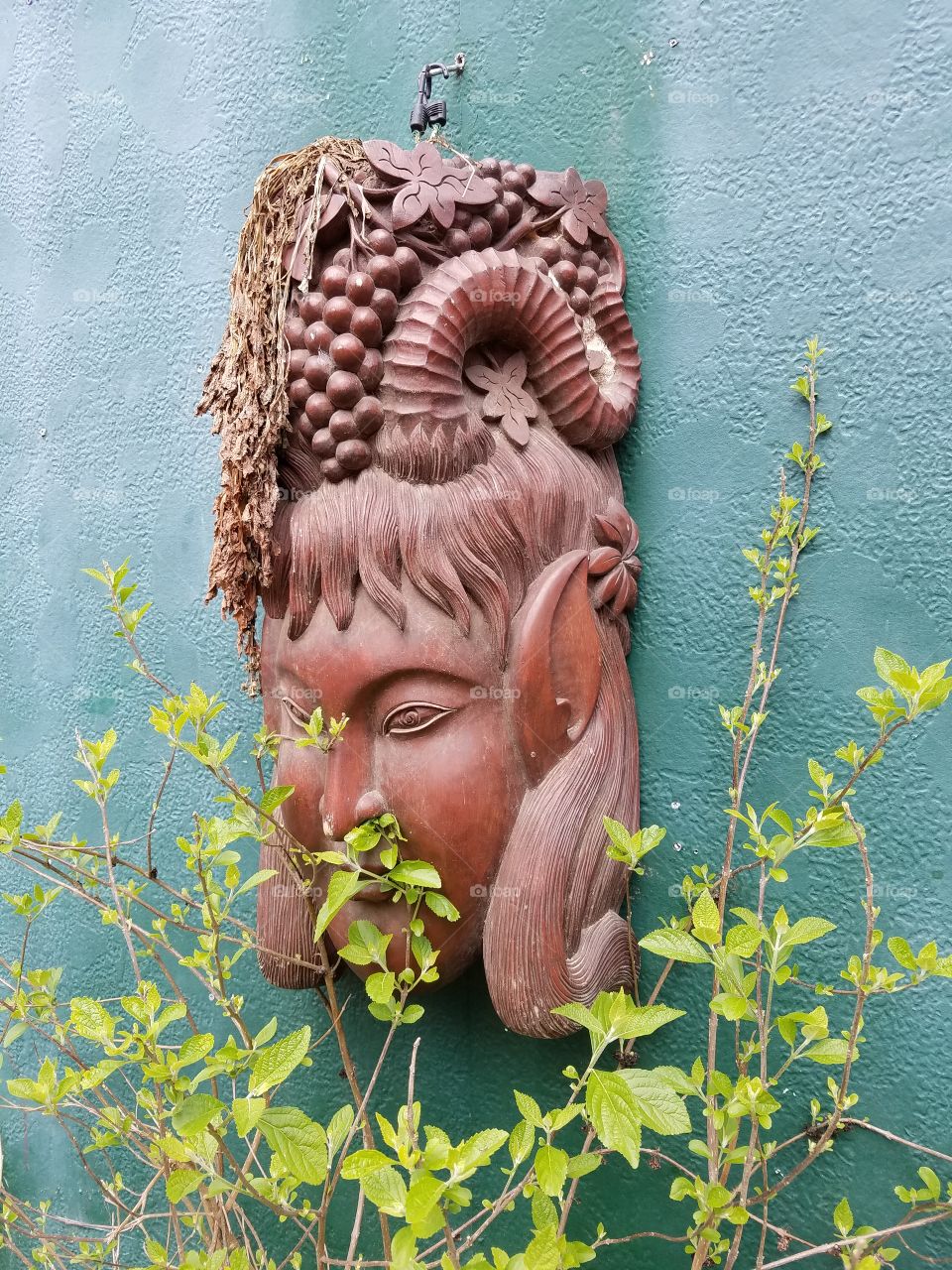 Sherwood Forest Faire pic set