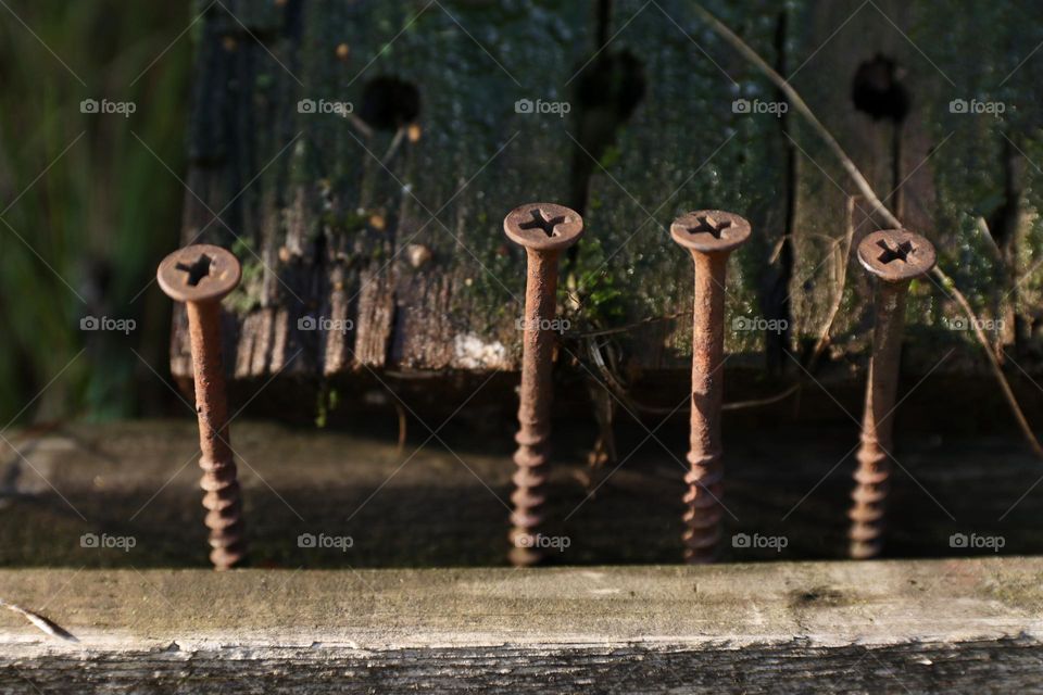 old rusty screws