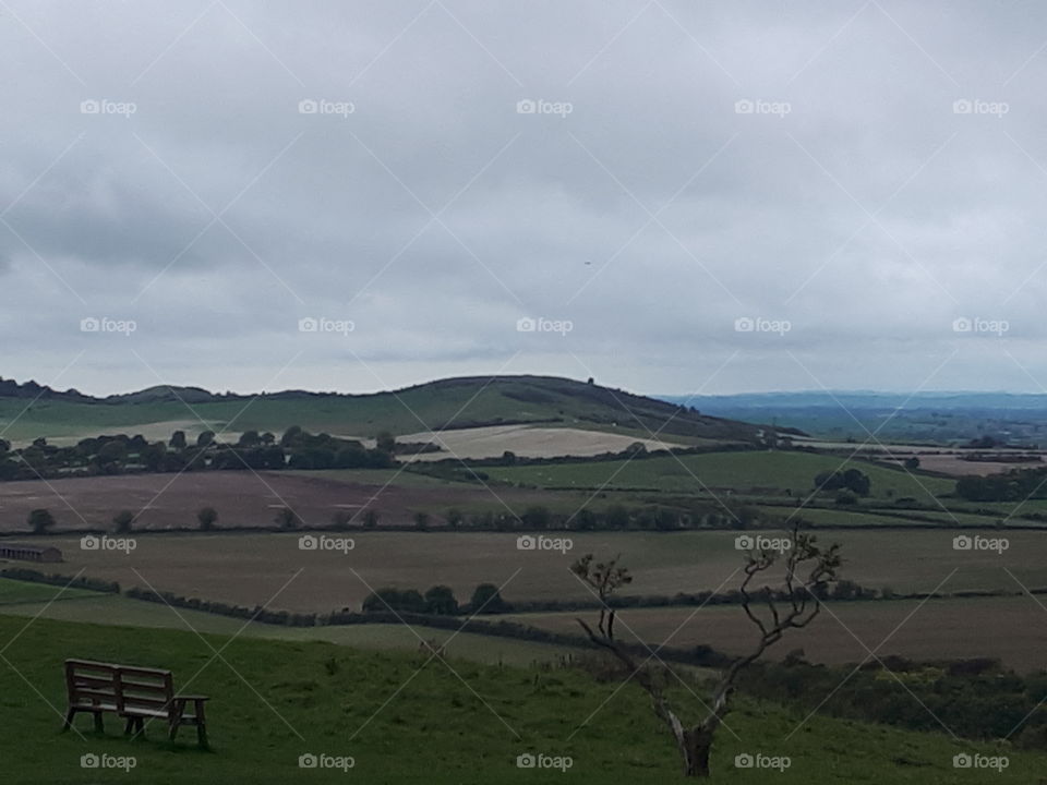 Landscape, No Person, Cropland, Agriculture, Grassland