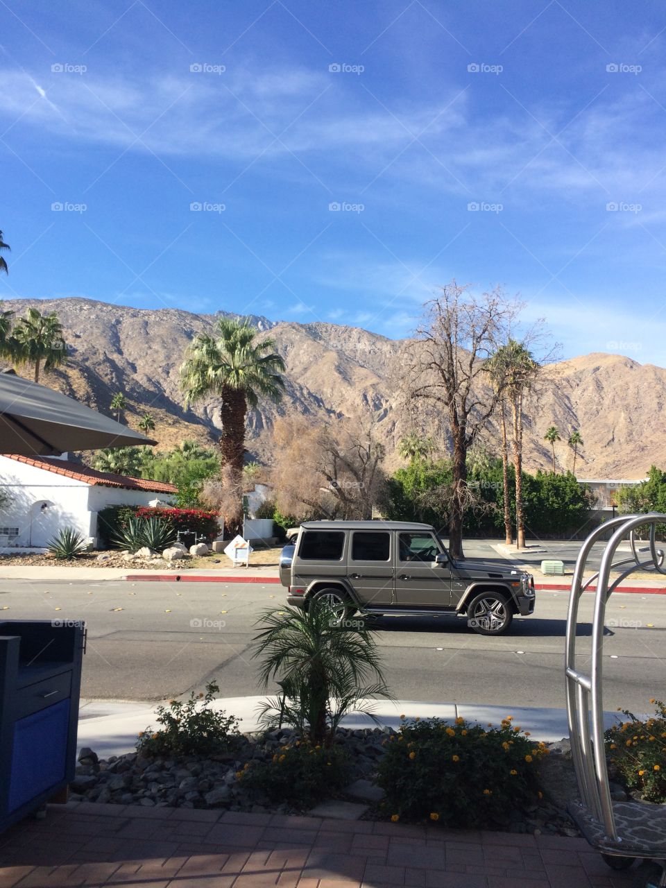 Palm Springs 
