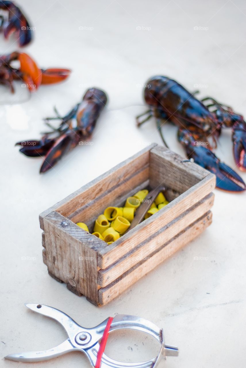 Maine Lobsters On a Boat with Yellow Sizing Tags