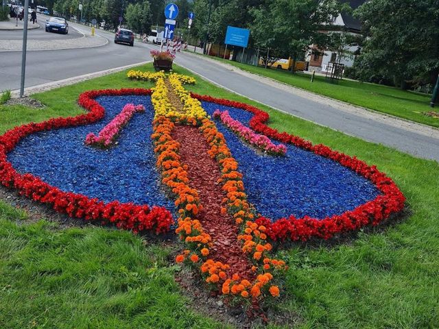 Landscape of flowers and nature