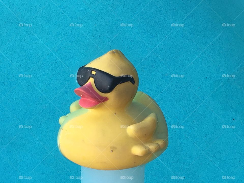 Rubber ducky you're the one