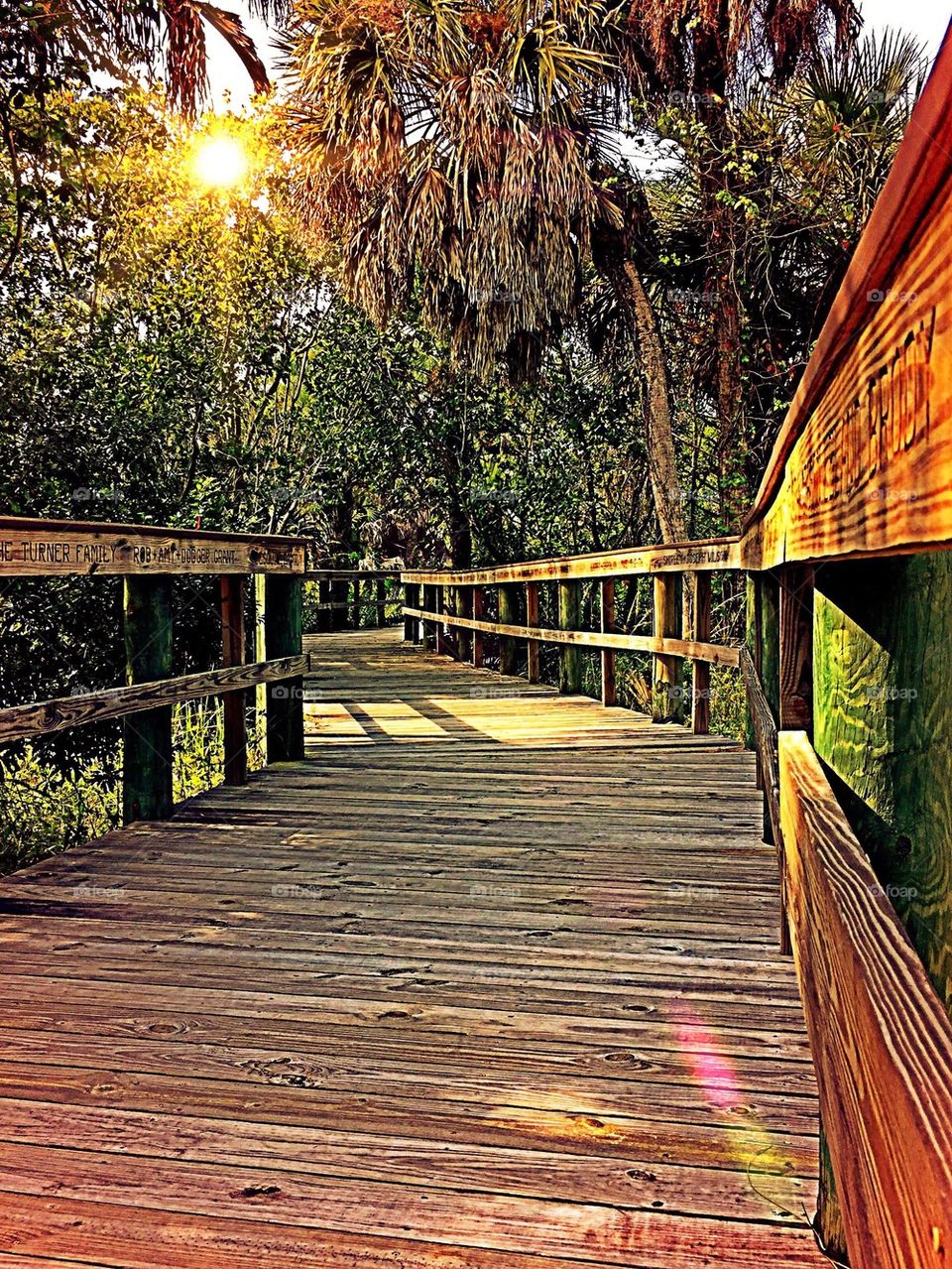 Sunlit Boardwalk