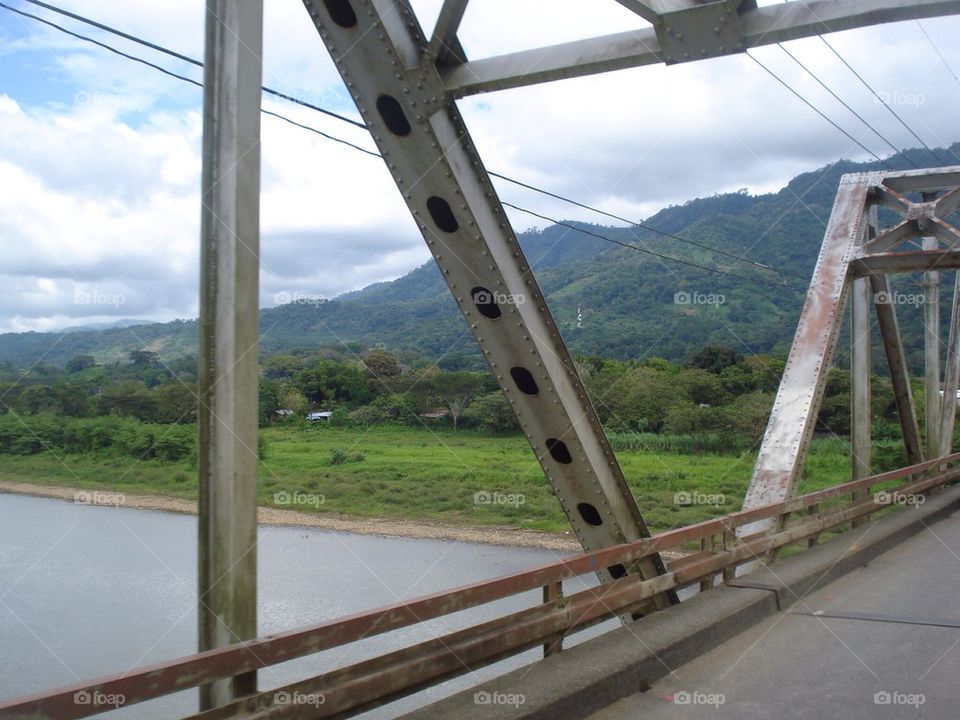 Bridge to Rainforest