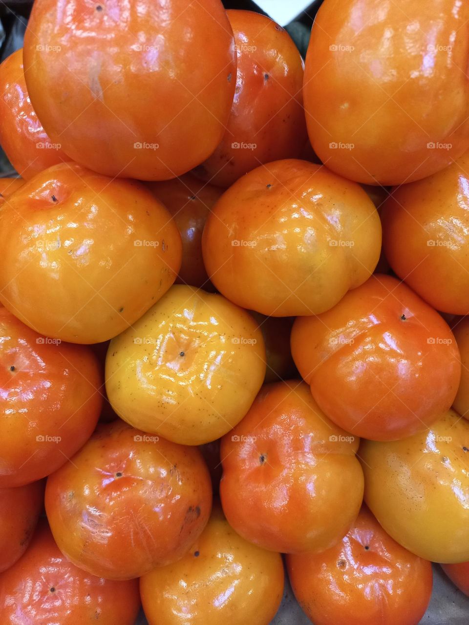 Caqui Rama Forte, possui coloração avermelhada, que se assemelha ao tomate. Tem polpa com consistência  gelatinosa e adocicada, menos ácida e rica em amido e frutose