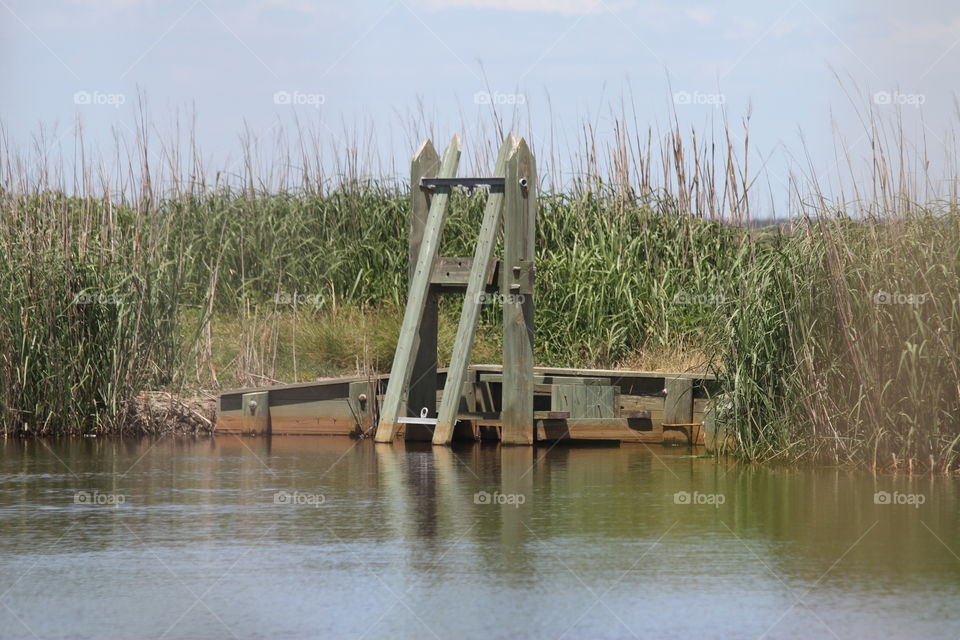 Old gate in rice field