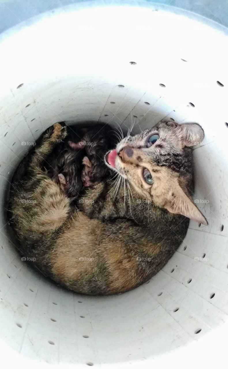 Brand new Momma!