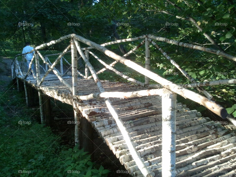 A Birch-made Bridge