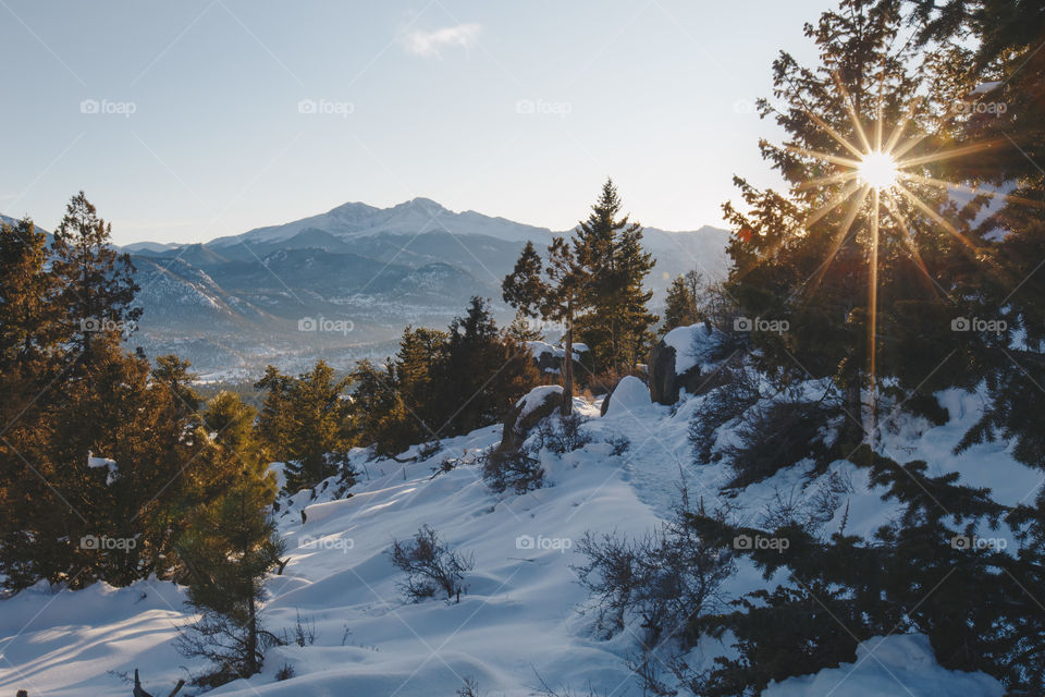 Winter landscape 