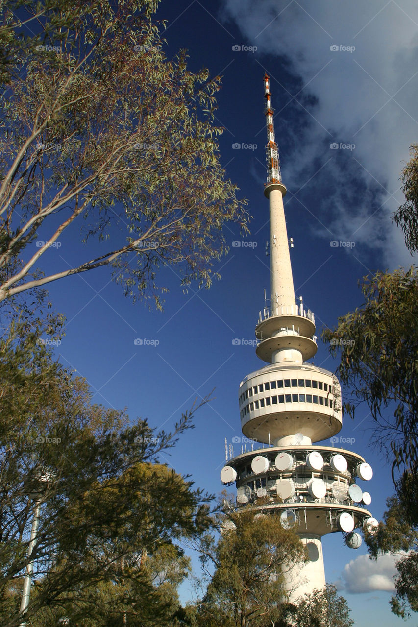 sunny tower australia aussie by splicanka