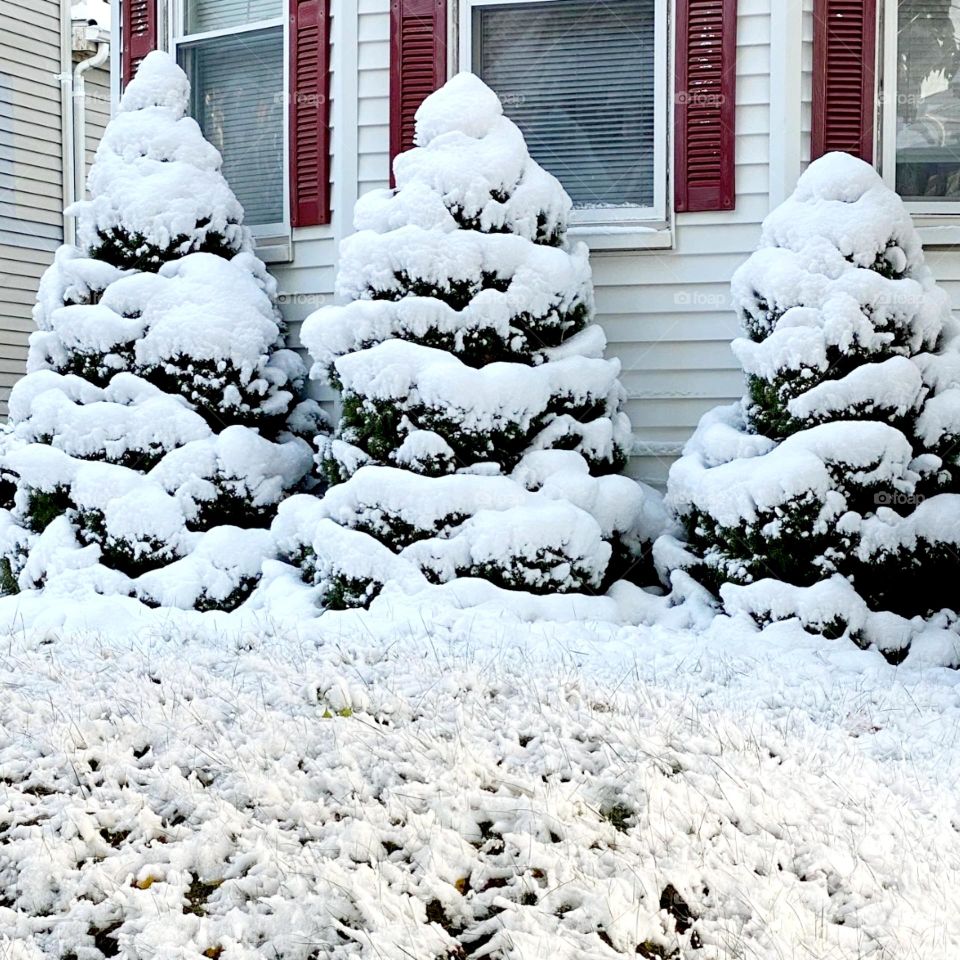 Winter in the northern hemisphere is an amazing natural phenomenon and beautiful to behold.  The snow-covered landscape changes and everything in it changes: the colors, the volumes, the sounds, a true invitation to new discoveries!