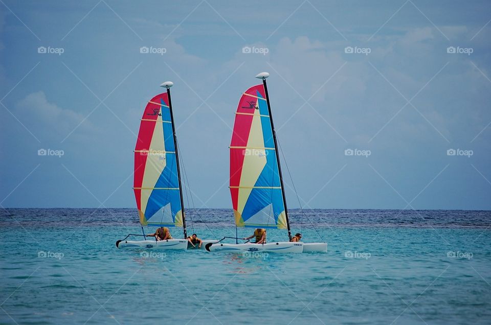 Wind Sailing in Jamaica