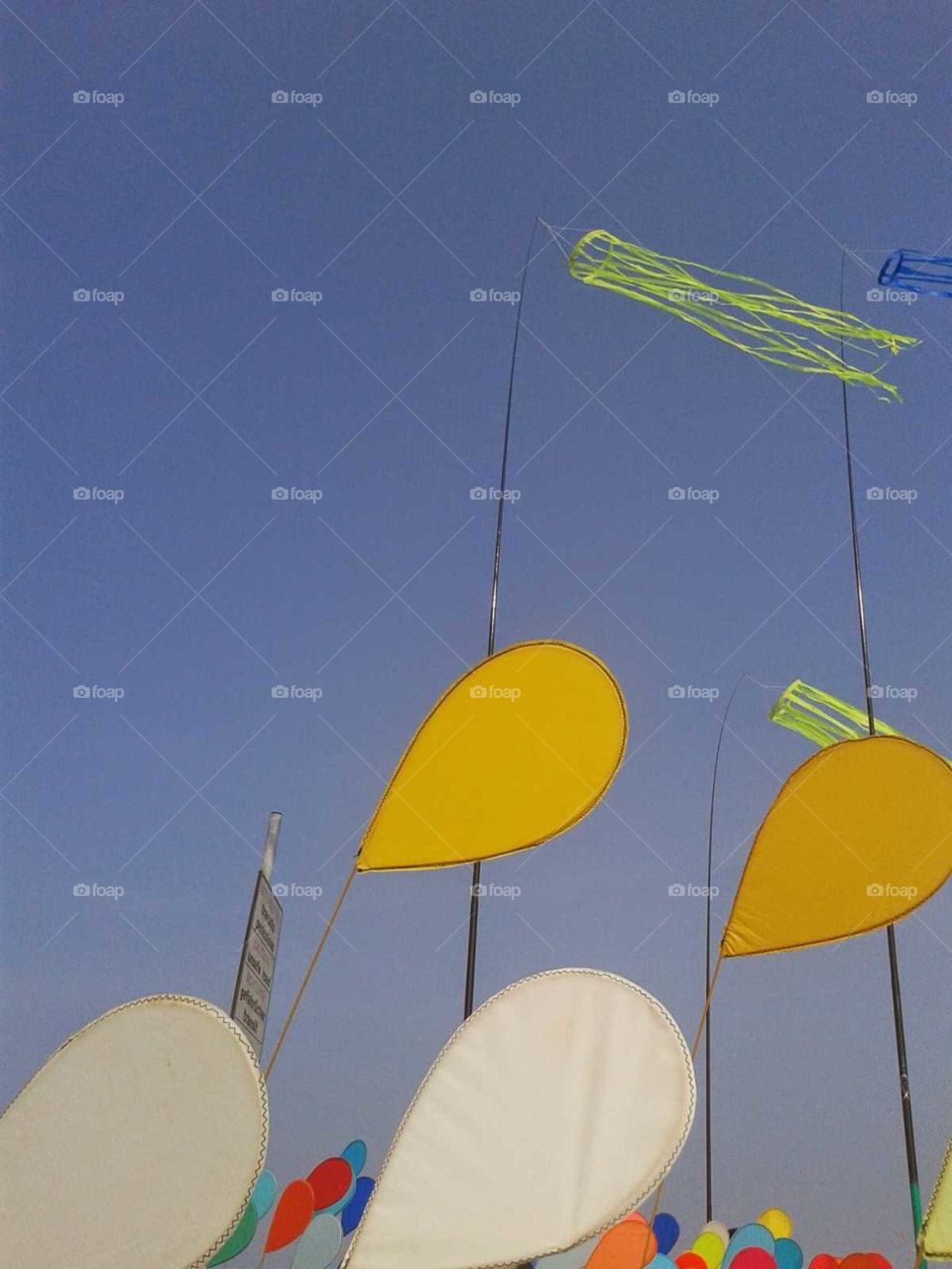 flying kites