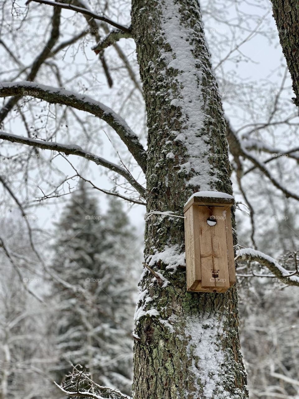 Winter birdhouse