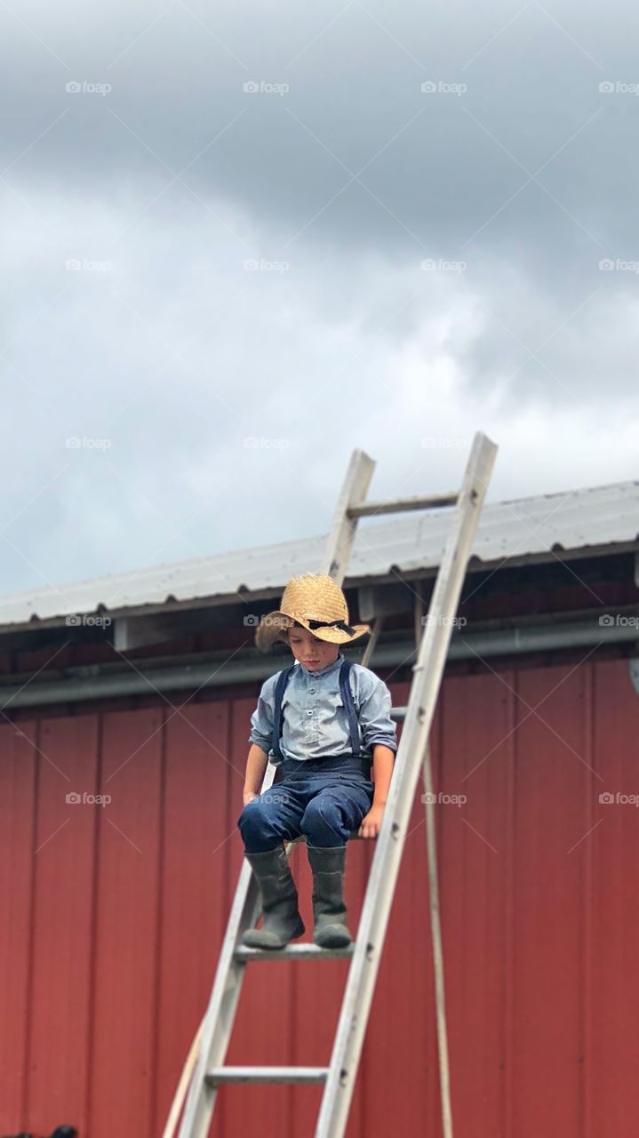 After going to an Amish farm, I realized that the children worked more then most people in the world today. Here’s a photo of a boy I saw sitting up a ladder after hearding the sheep on the farm.