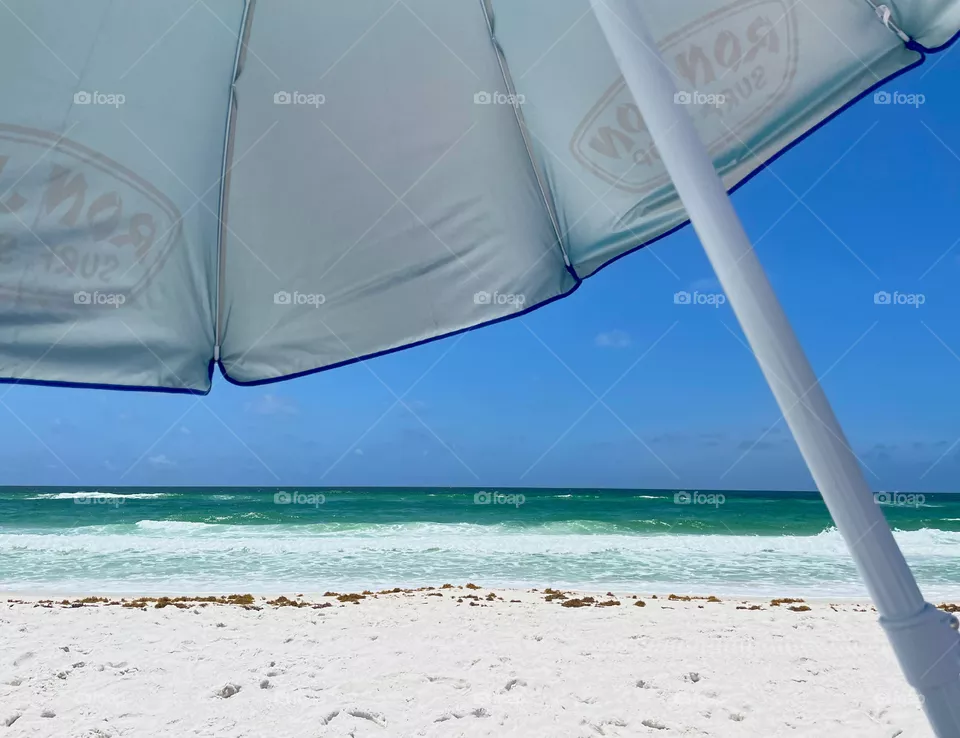 Beach life 