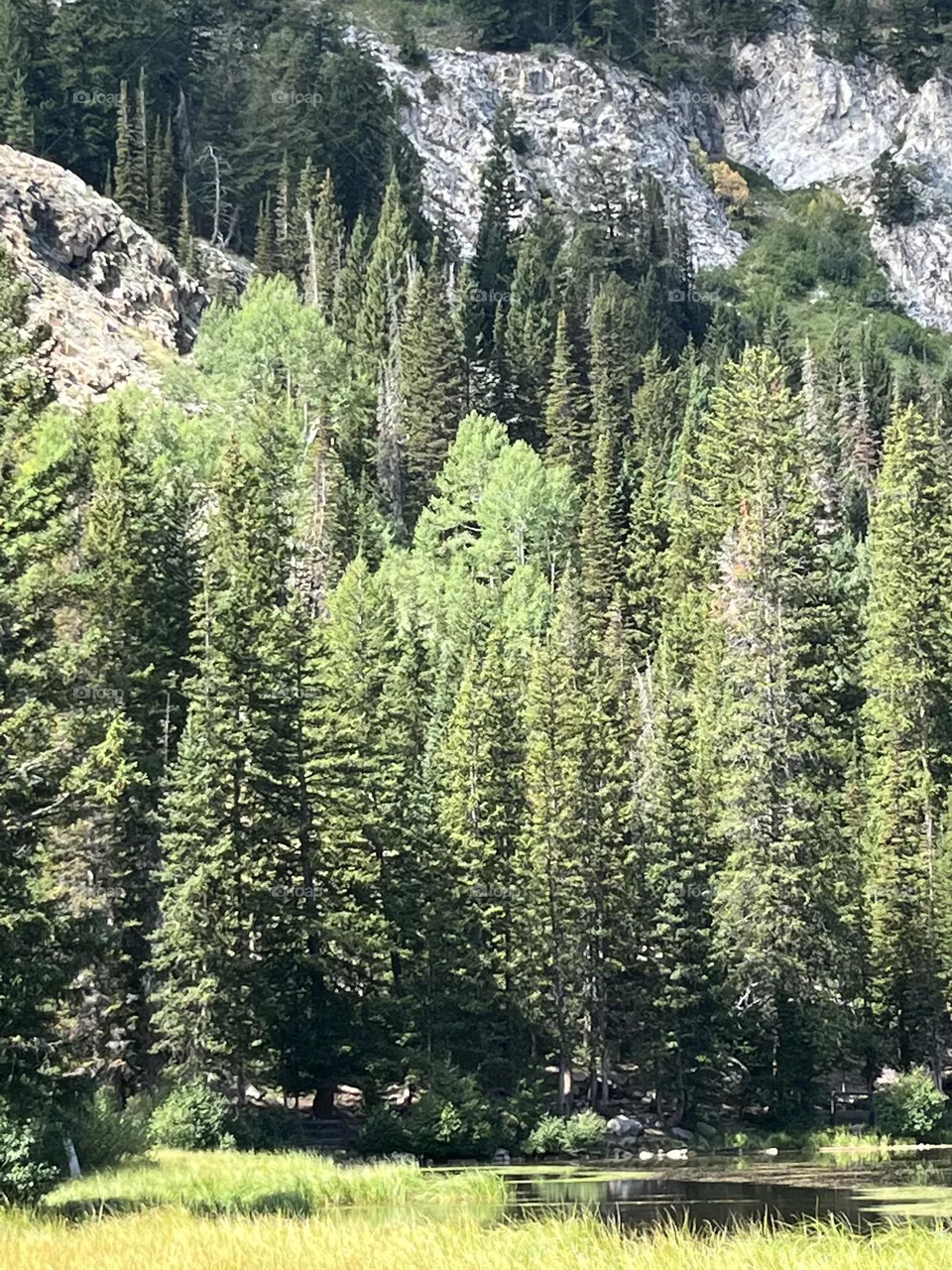 Utah nature 