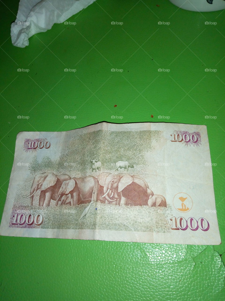 kenyan money