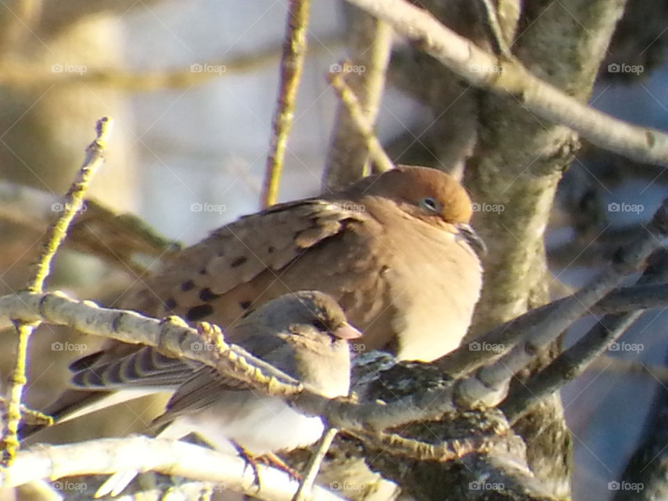 Enjoying the Winter Sun