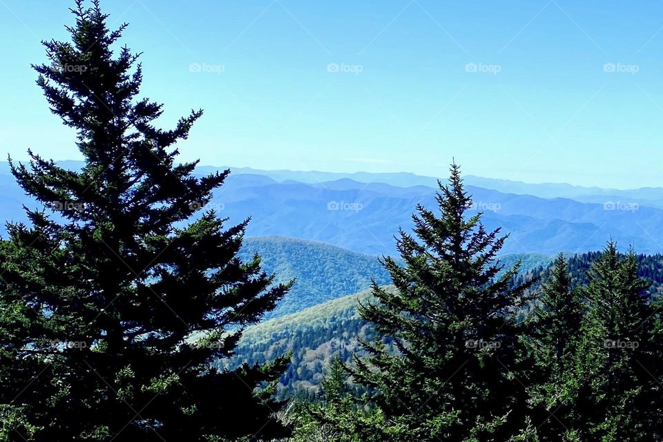 Landscape of the blue ridge mountains 