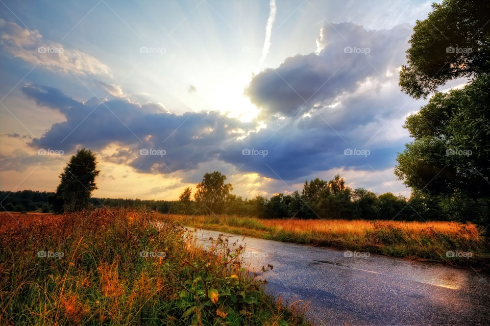 Summer landscape at cloudy day