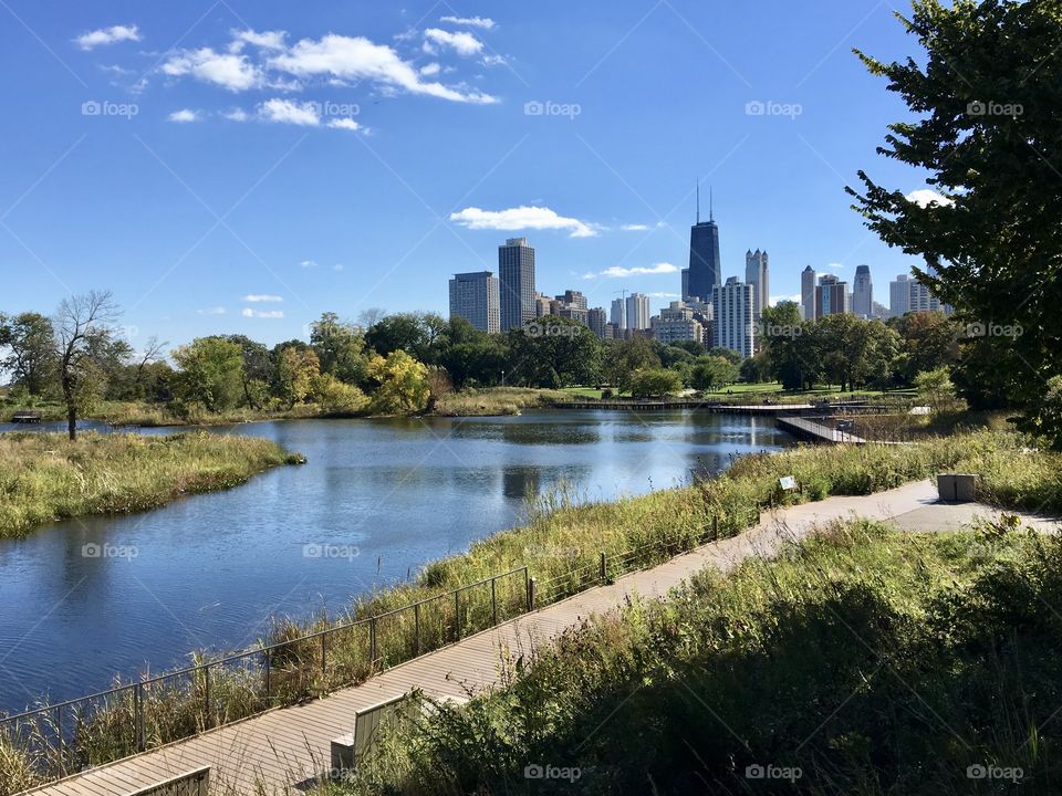 Chicago skyline