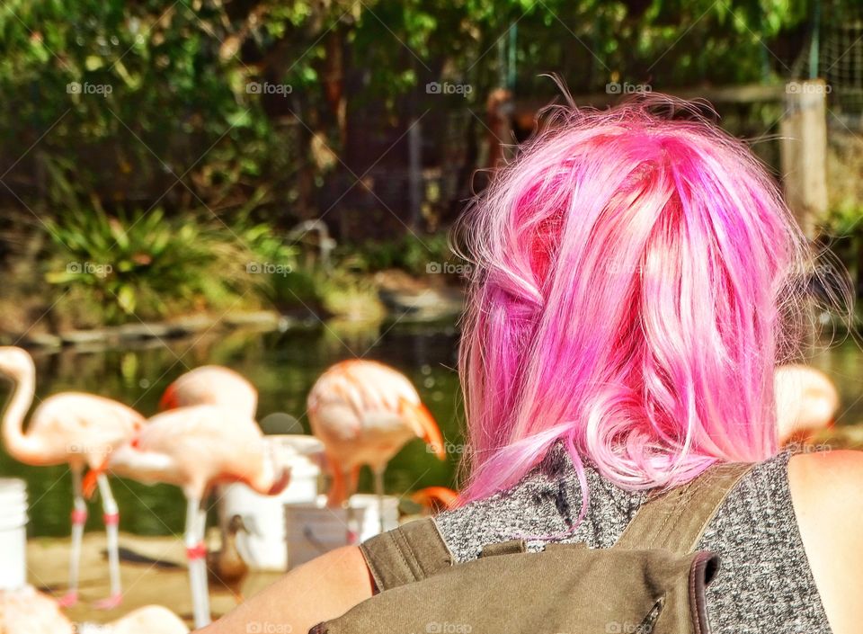 A Study In Pink. Girl With Pink Hair Looking At Pink Flamingoes
