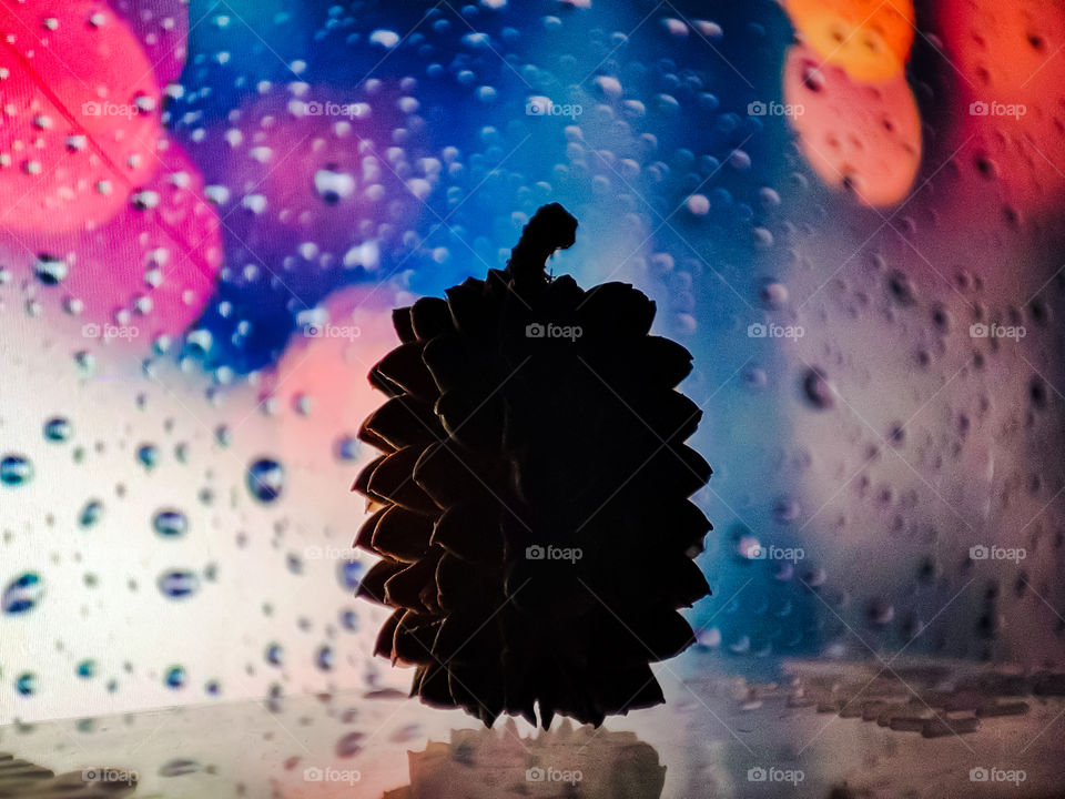 fruit against lights