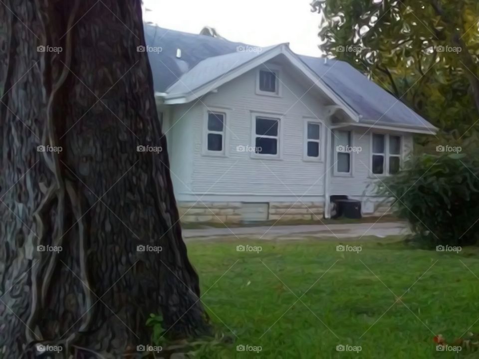 tree and house